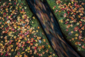 Read more about the article Hi, welcome to my blog