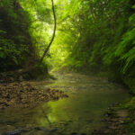 Green Ravines